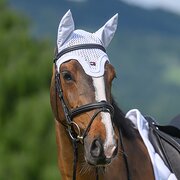 TOMMY HILFIGER EQUESTRIAN Fliegenhaube Liberty