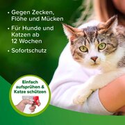 beaphar Zecken- und Flohschutz Spray