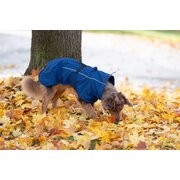 pawberry Hundemantel Rainstormer