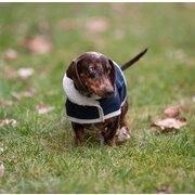 pawberry Hunde-Wintermantel Stockholm 2.0