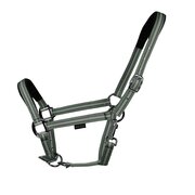 EQUEST Halfter Dual Plus