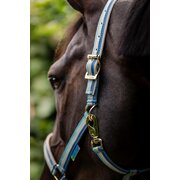 bucas Halfter Dublin