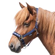 Horse-friends Island-Halfter Keflavik