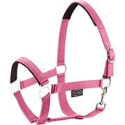 Horse-friends Webhalfter Pin Buckle