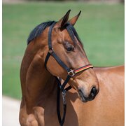 Horse-friends Halfter Deutschland WM 2026
