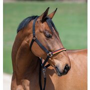 Horse-friends Halfter Deutschland WM 2026