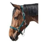 Horse-friends Halfter Basic