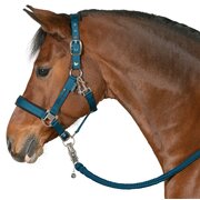 RIDE now halster stay focused 