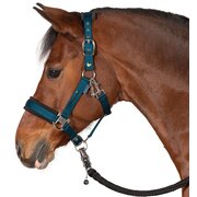 RIDE now halster stay focused 