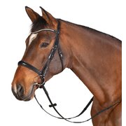 MONTIVUM Trensenzaum Bradford