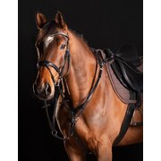 Cheval de Luxe trens hoofdstel Dijon 