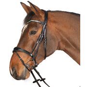 Cheval de Luxe Trensenzaum Dijon