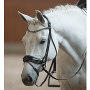 DÖBERT Trensenzaum Bonn Premium