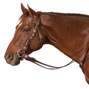 Passion 4Q Westernhoofdstel 