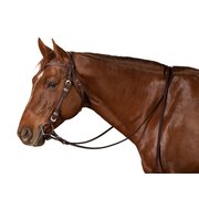 Passion 4Q Westernteugels 