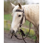 Passion 4Q Western-Trense