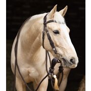 Passion 4Q Westerntrense