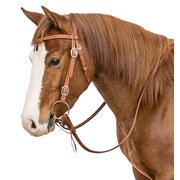 L-pro West Westerntrense Hampton 