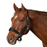 Passion 4Q Nylon Halfter