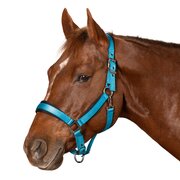 Passion 4Q Nylon Halfter