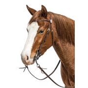 L-pro West Westerntrense Vancouver 