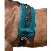 Horse-friends Longiergurt