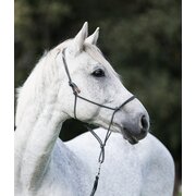 EQUINE-MICROTEC Knotenhalfter mit eingearbeitetem Reflextionsgard
