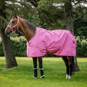 bucas Outdoordecke Freedom Turnout Light