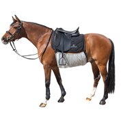 Horse-friends Anti-Fliegen Bauchlatz