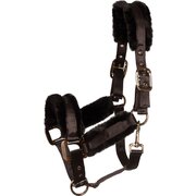 Cavallo Halfter CAVALJERO