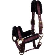Cavallo Halfter CAVALJERO