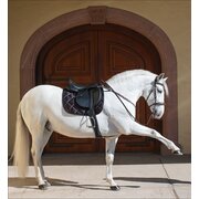 Horse-friends Spanische Schabracke Sevilla