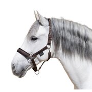 Horse-friends Spanisches Halfter Sevilla 