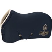 ESKADRON Heritage Abschwitzdecke Aerial Jersey