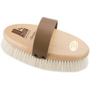 Leistner Kardätsche Dream