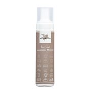 BENSE & EICKE Brillant Cleaning Mousse