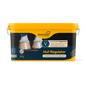 marstall Huf-Regulator