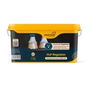 marstall Huf-Regulator