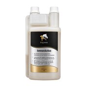 EQUANIS SehnenActive