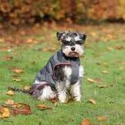 bucas Hundemantel Dog Rug Freedom 50 g