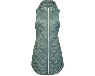 Cheval de Luxe Langweste Chartres