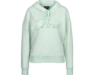 ARIAT Just Hoodie