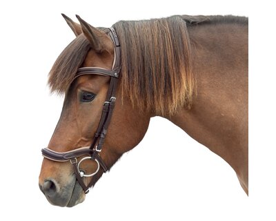 MONTIVUM Islandtrensenzaum Reykjavik