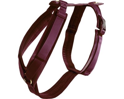 KENTUCKY DOGWEAR Hundegeschirr Activ Velvet