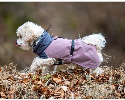 pawberry Hunde-Wintermantel Tallinn