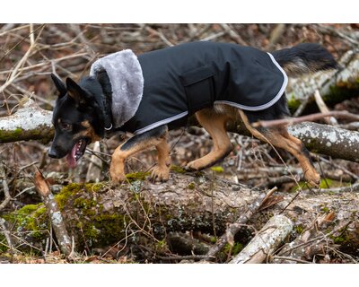 pawberry Hunde-Wintermantel Stockholm