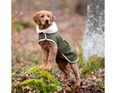 pawberry Hunde-Wintermantel Stockholm