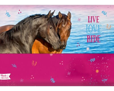 DIE SPIEGELBURG Briefpapier Set Pferdefreunde