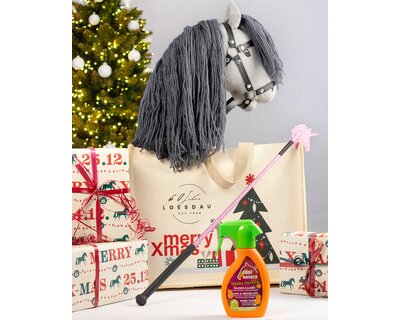 X-MAS Set - Hobby Horsing für Kinder