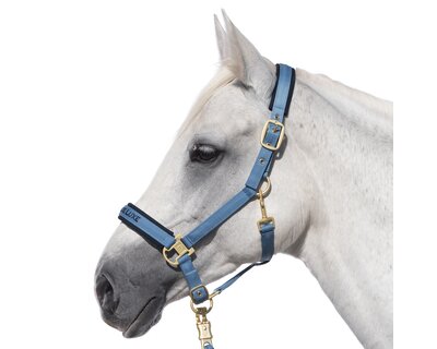 Cheval de Luxe Halfter